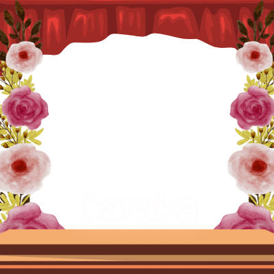 Frame Preview