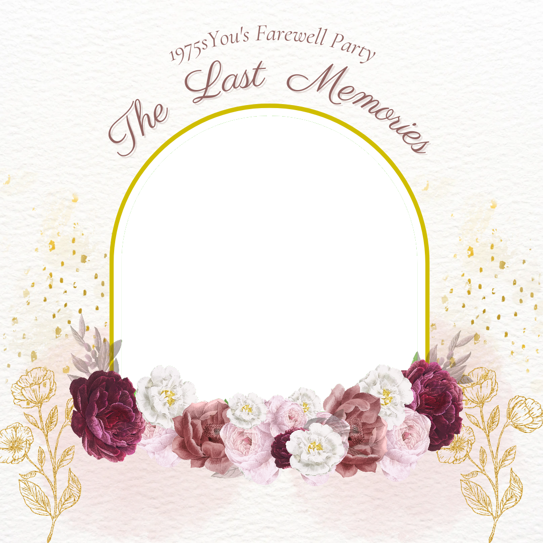 Frame Preview