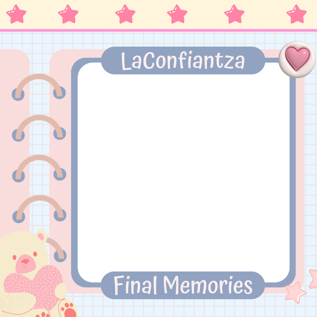 Frame Preview
