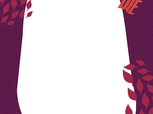Frame Preview