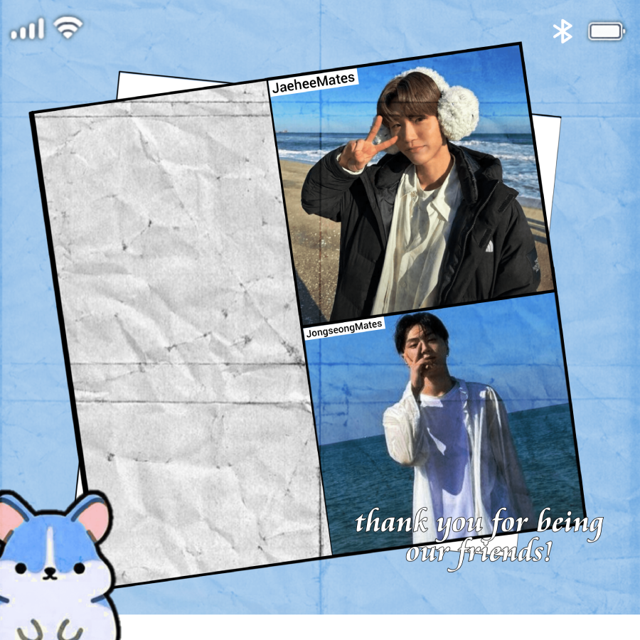 Frame Preview