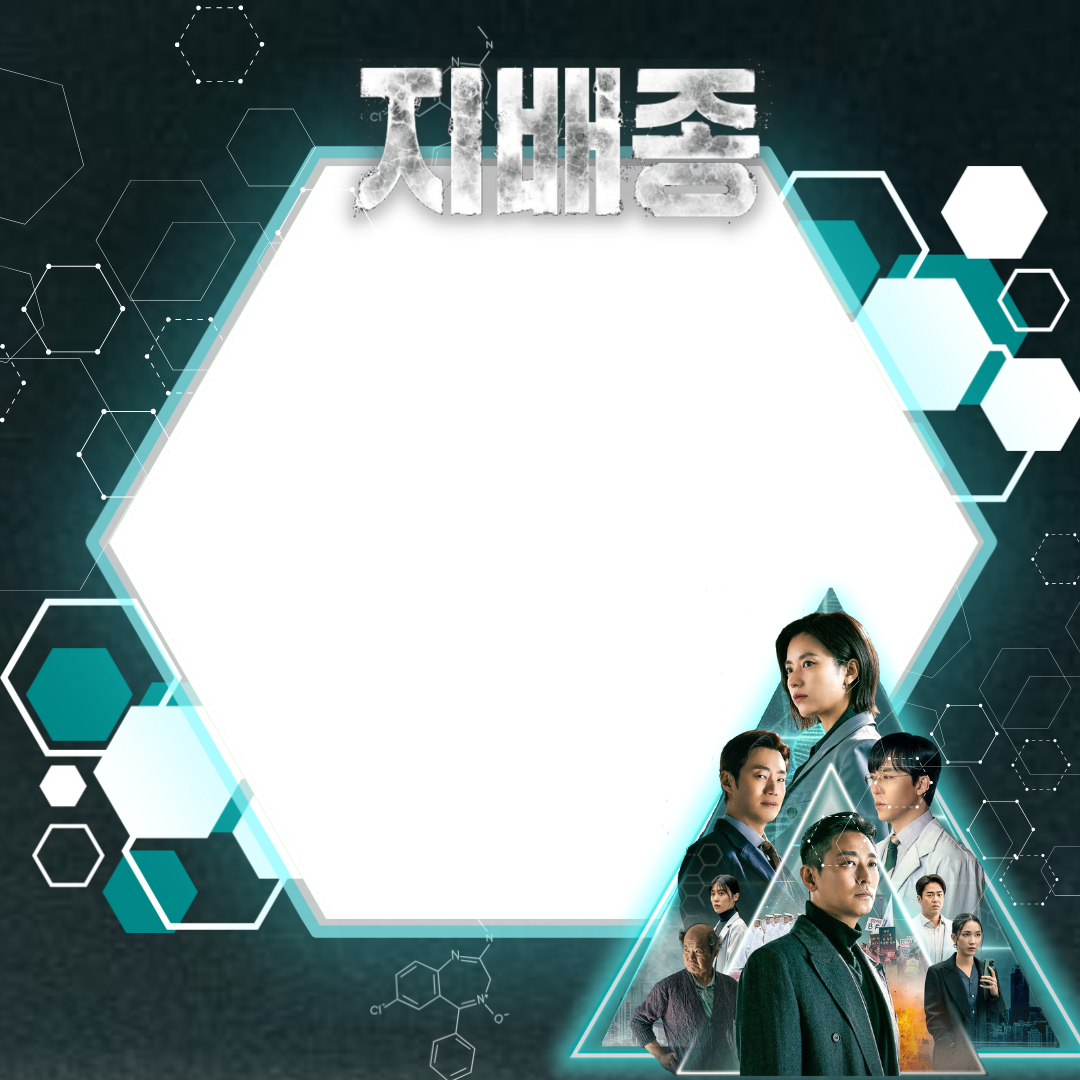 Frame Preview