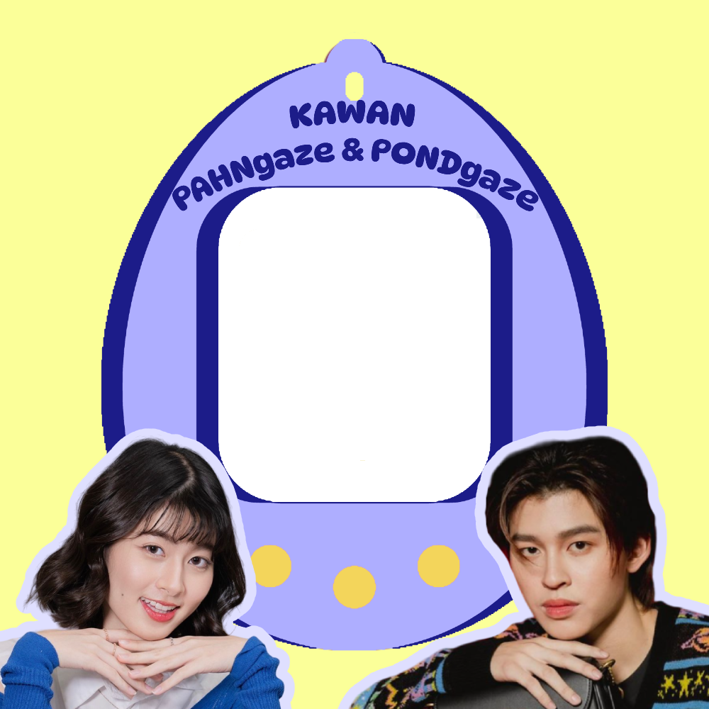 Frame Preview