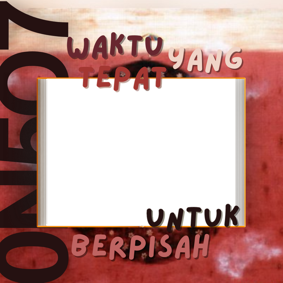 Frame Preview