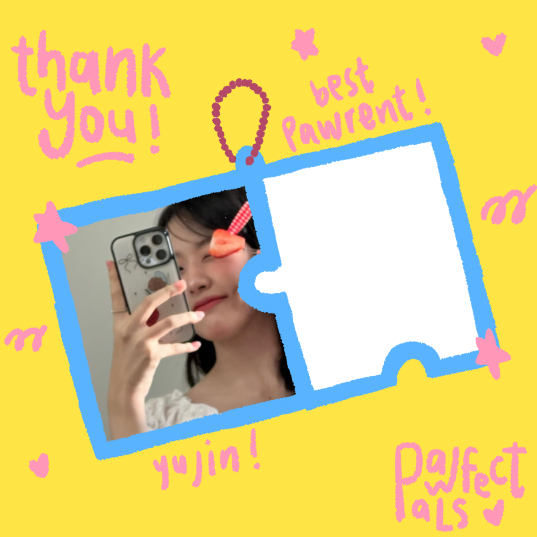 Frame Preview