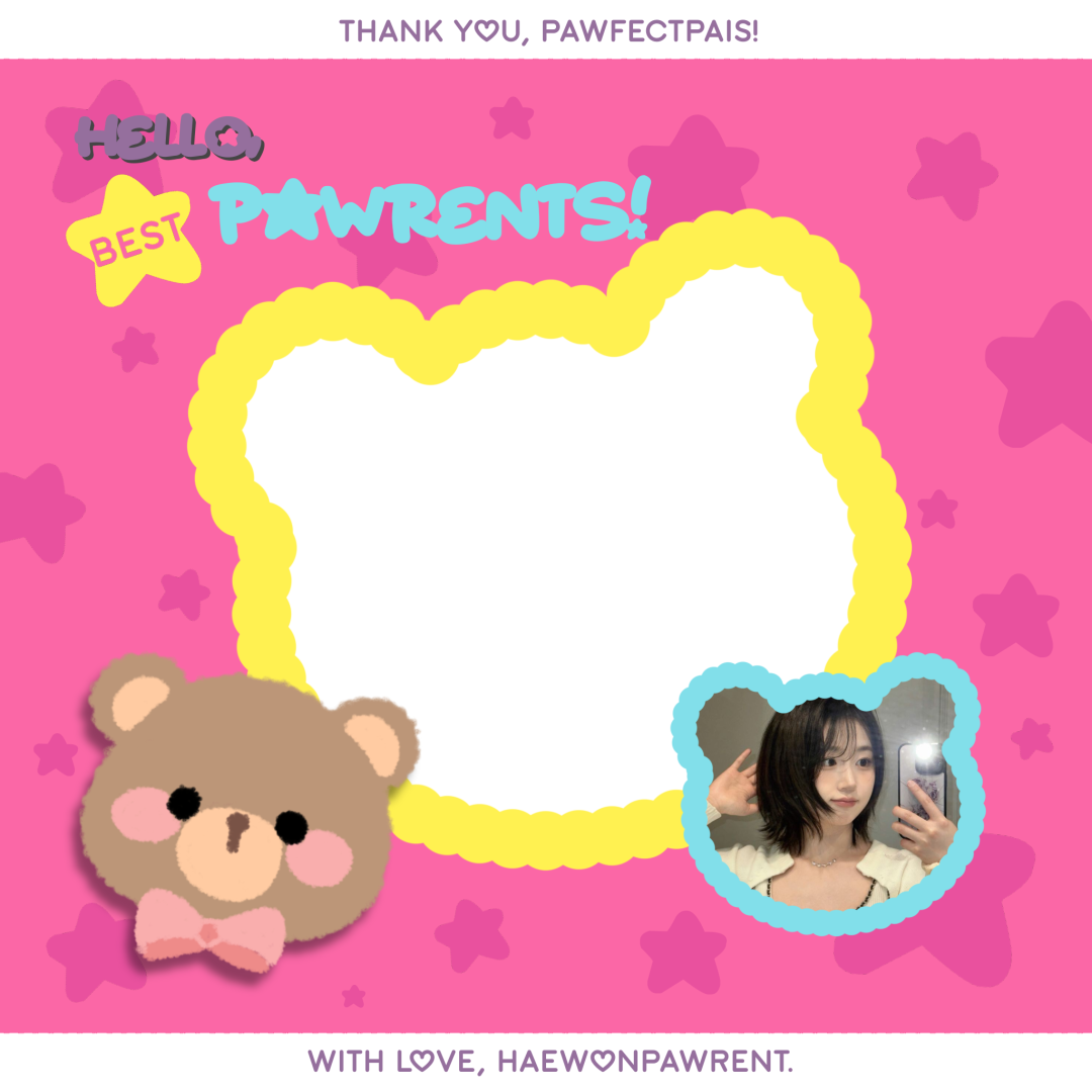 Frame Preview