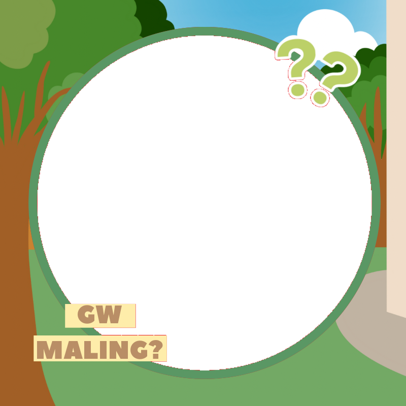 Frame Preview