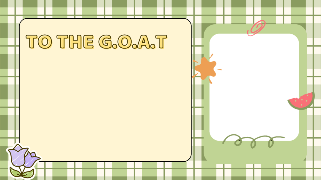 Frame Preview