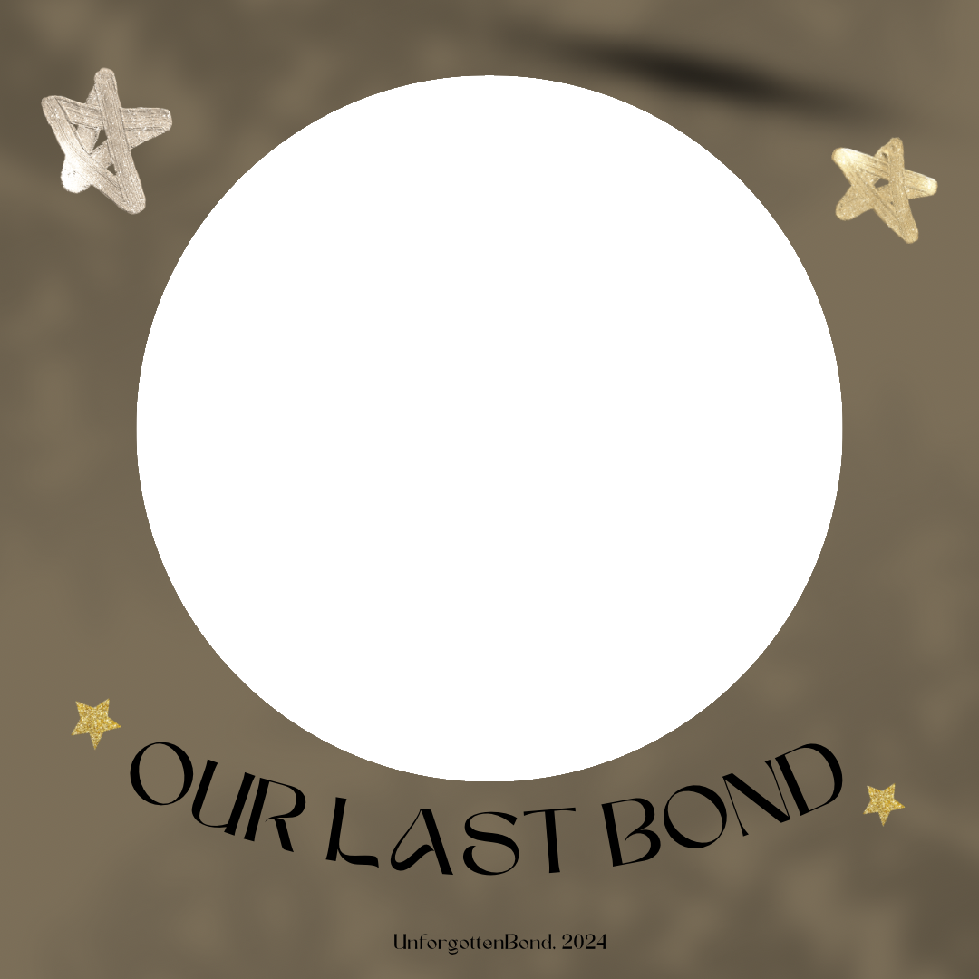 Frame Preview