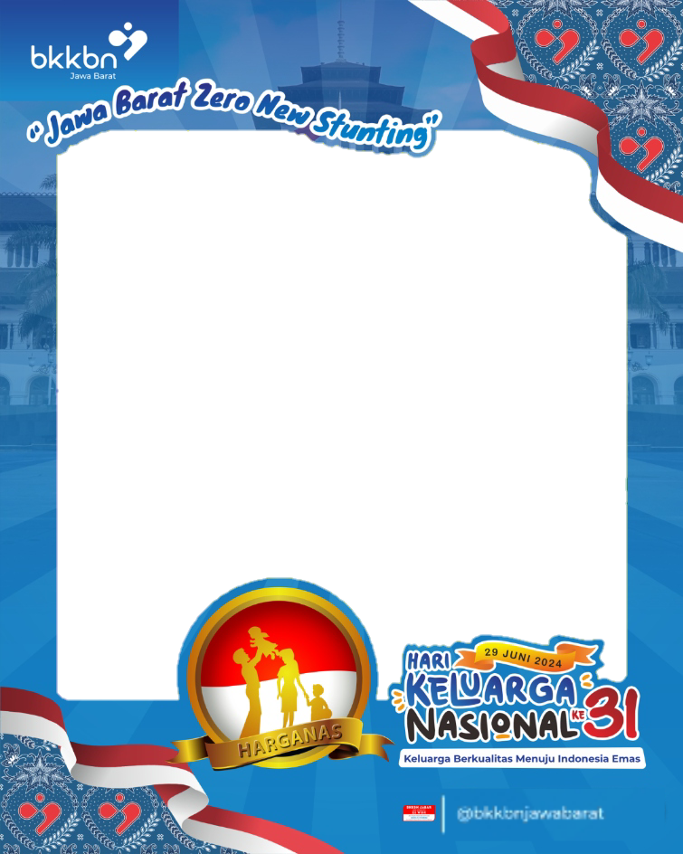 Frame Preview