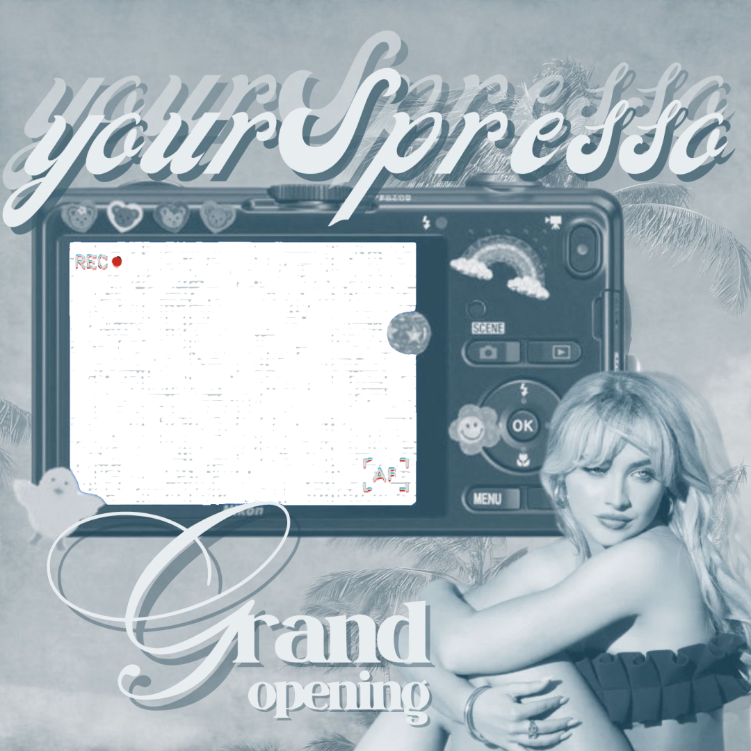 Frame Preview
