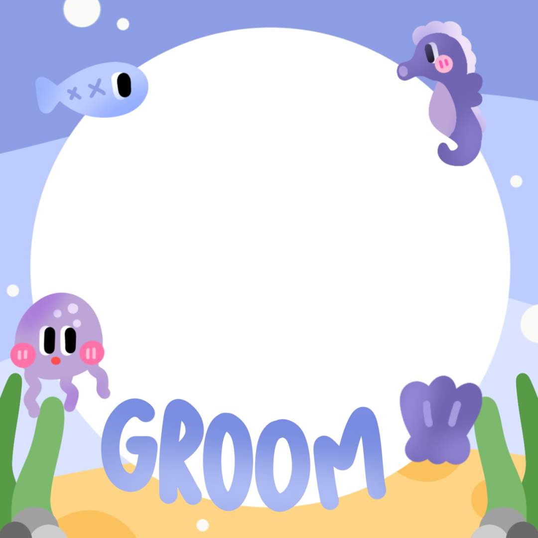 Frame Preview