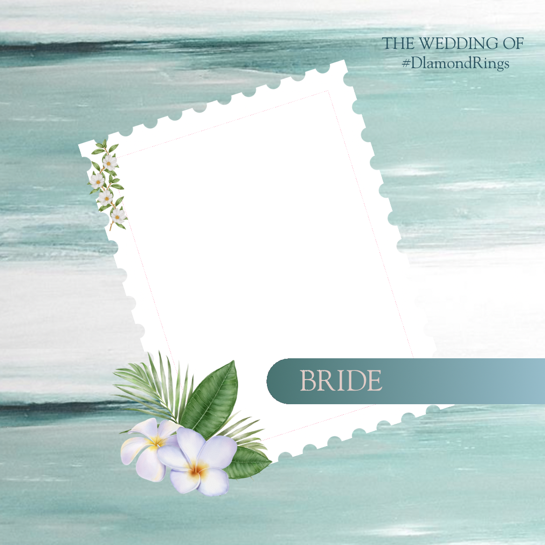 Frame Preview