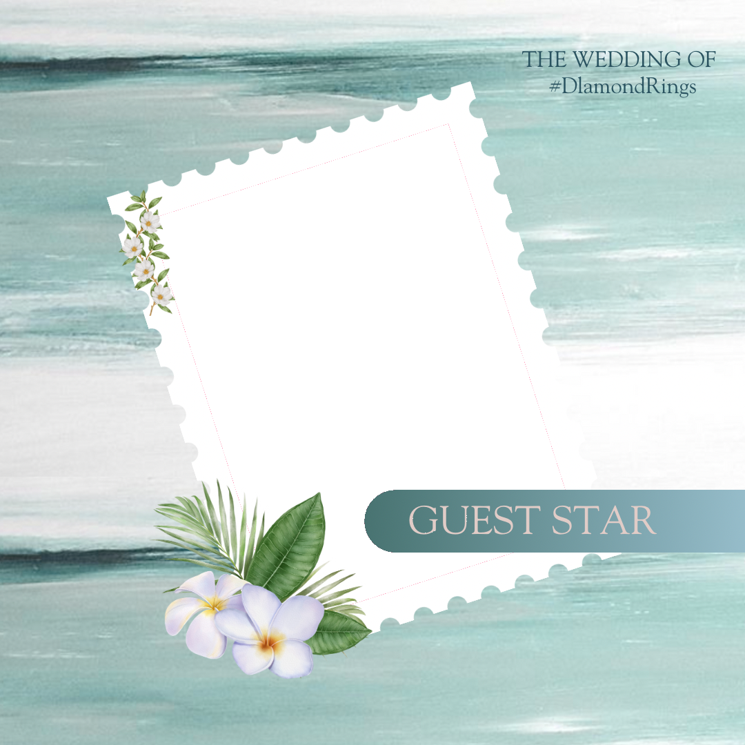 Frame Preview