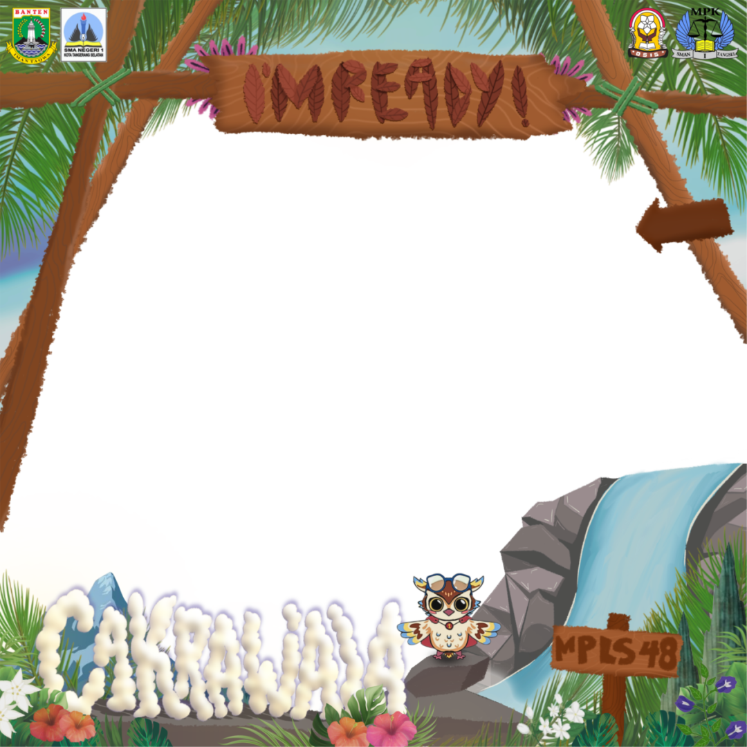 Frame Preview