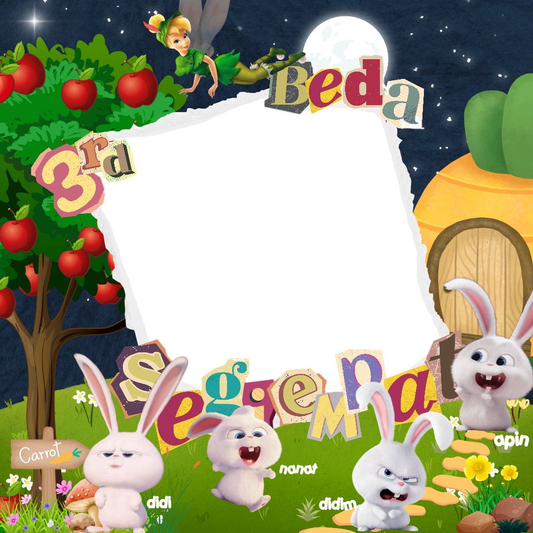 Frame Preview