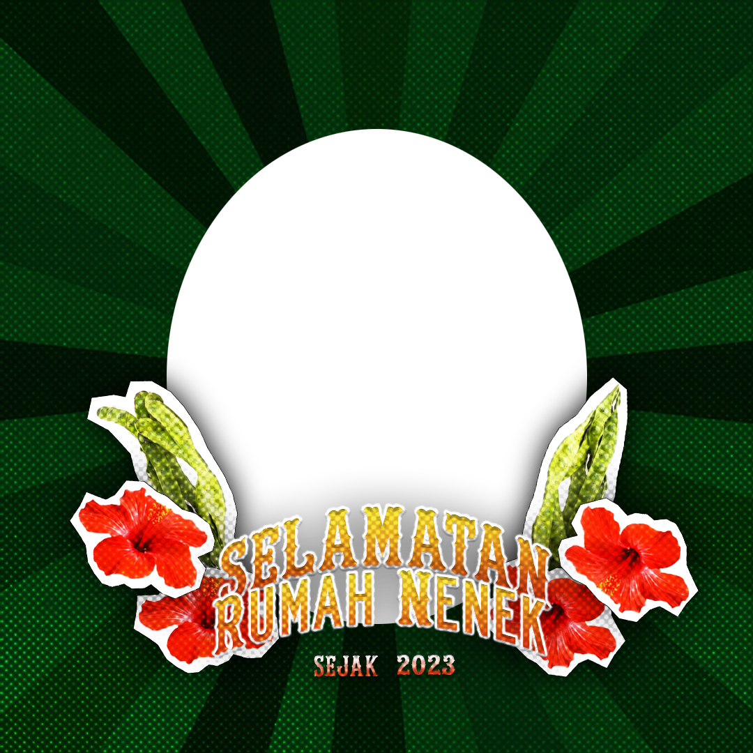 Frame Preview