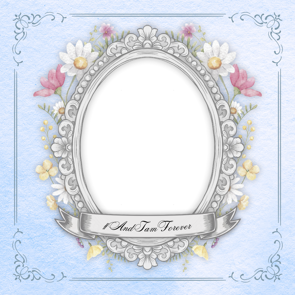 Frame Preview