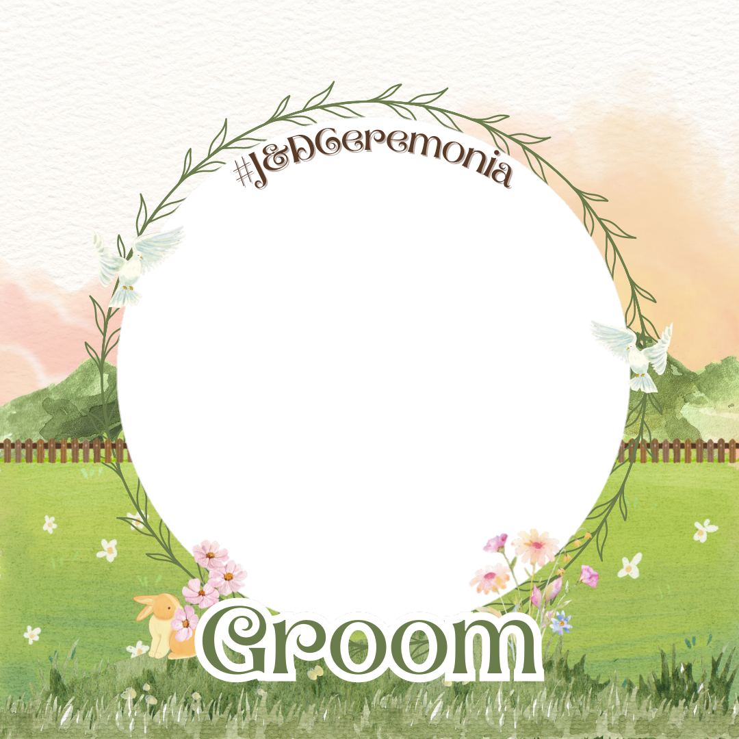 Frame Preview