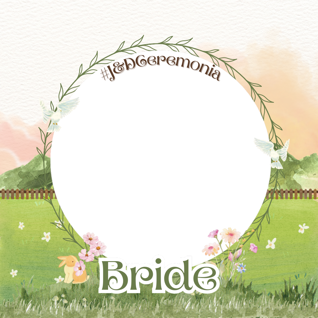 Frame Preview