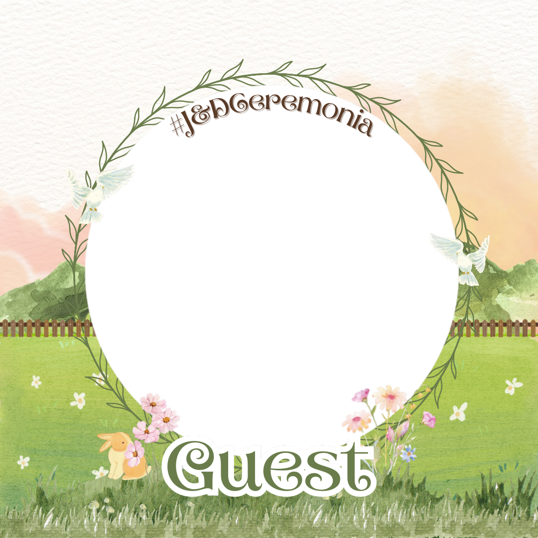 Frame Preview