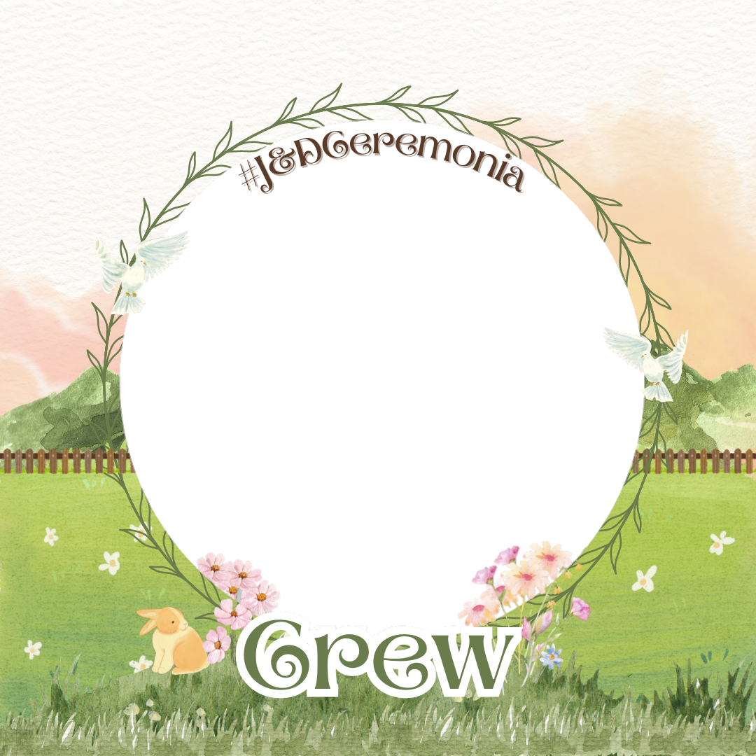 Frame Preview