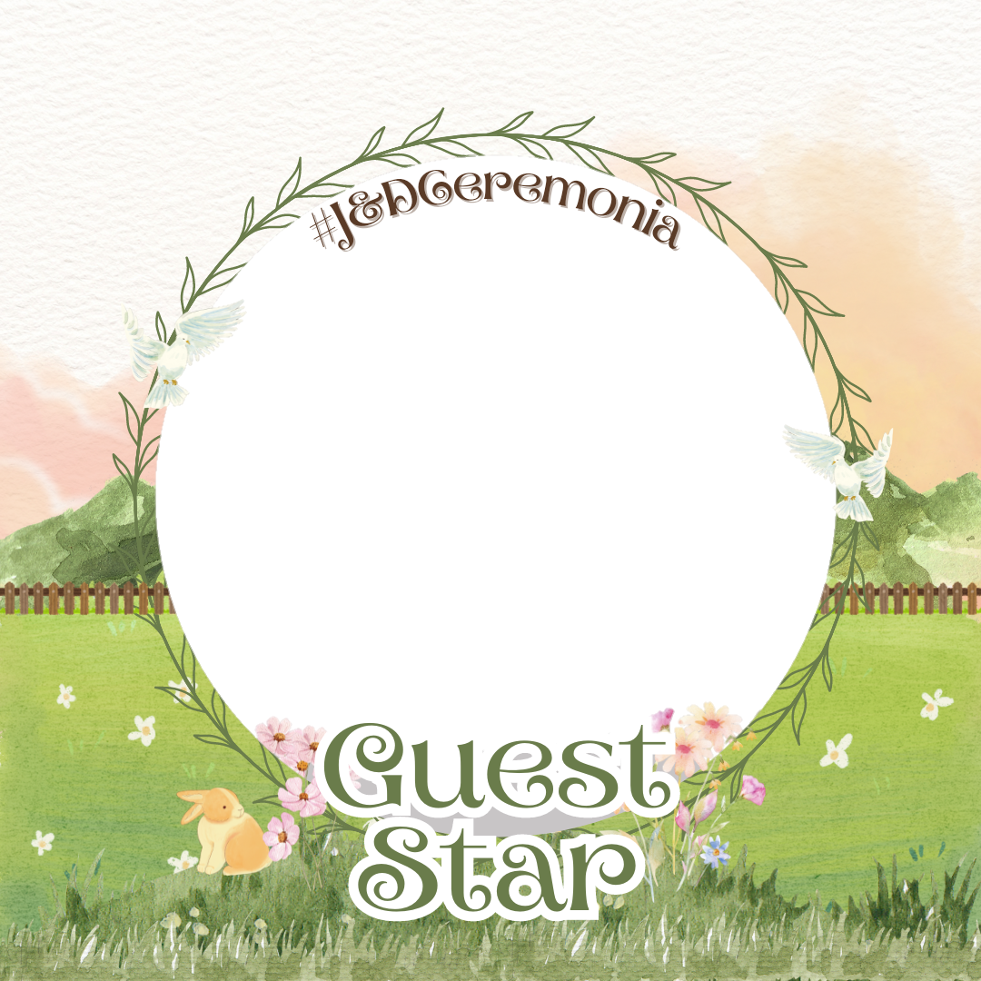 Frame Preview