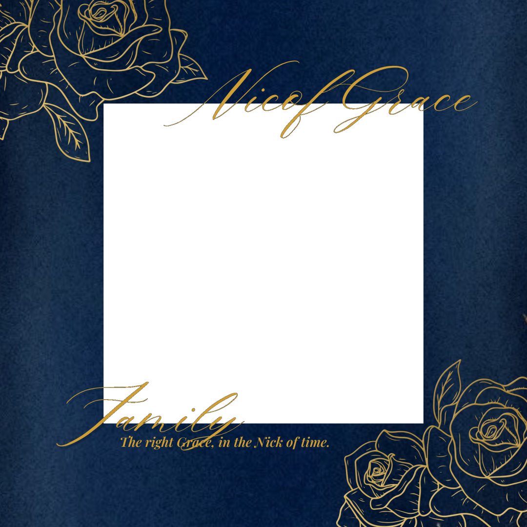 Frame Preview