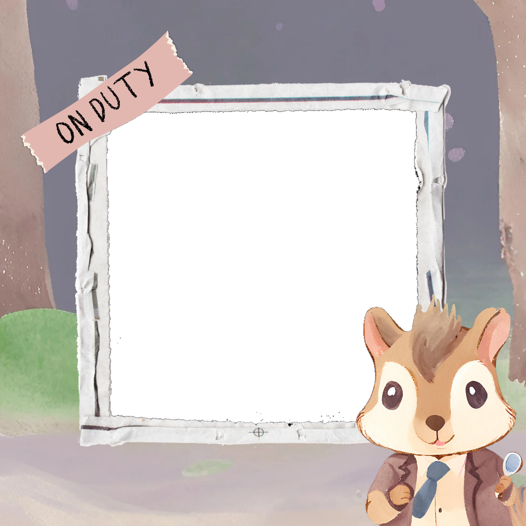 Frame Preview