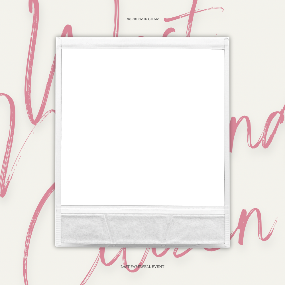 Frame Preview