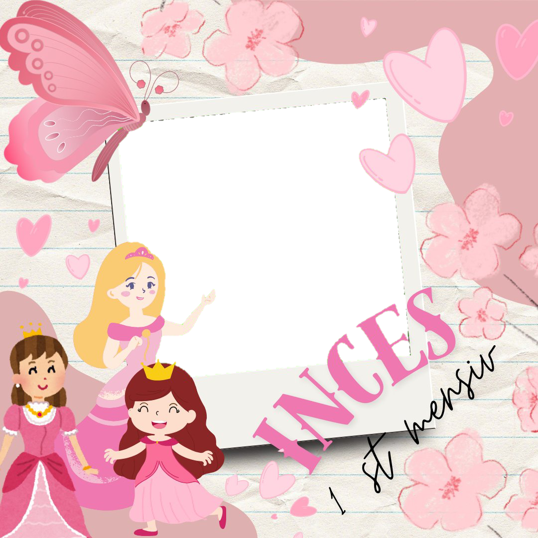 Frame Preview