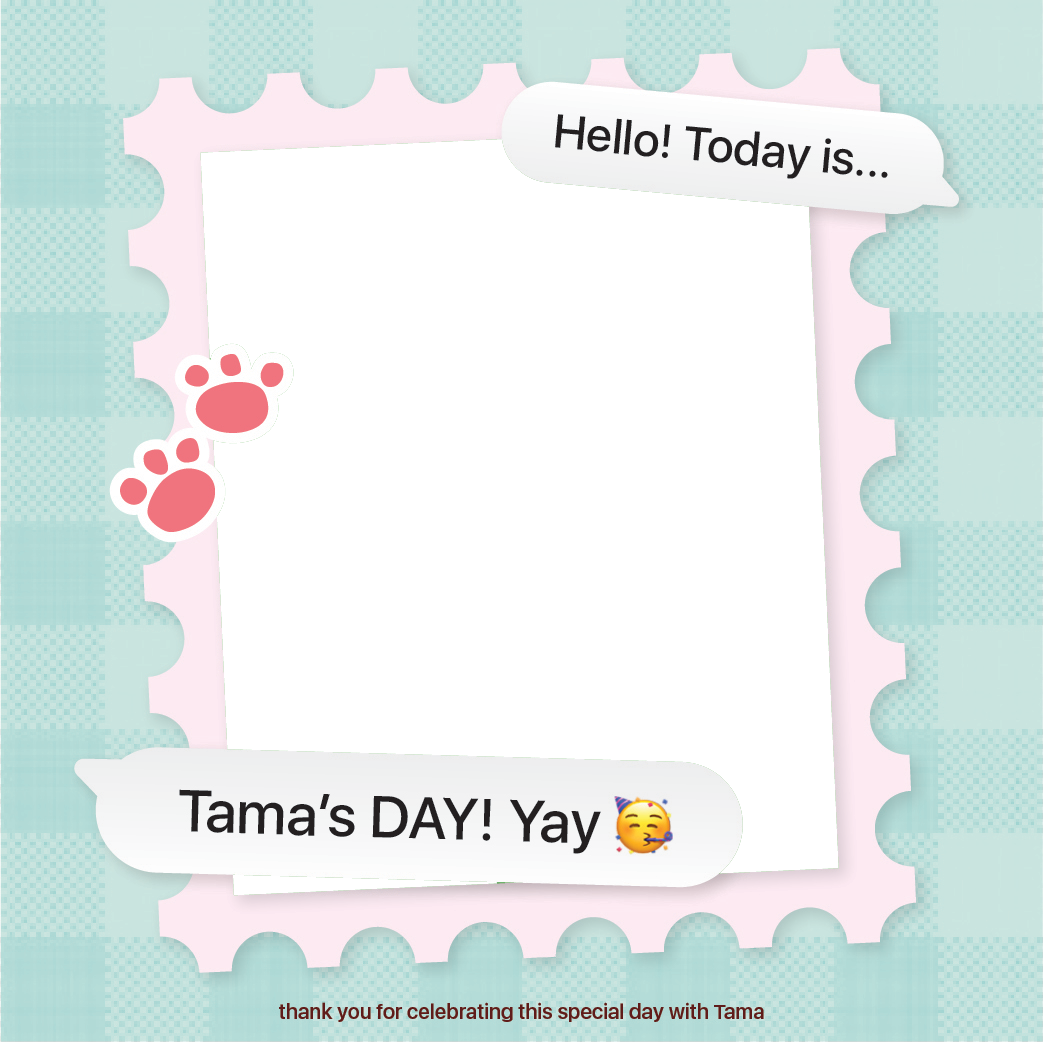 Frame Preview