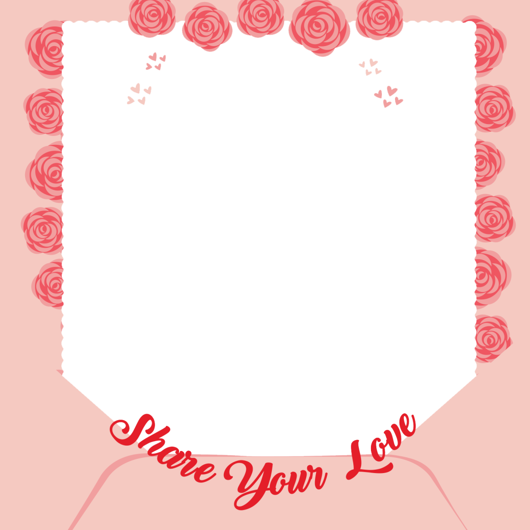 Frame Preview