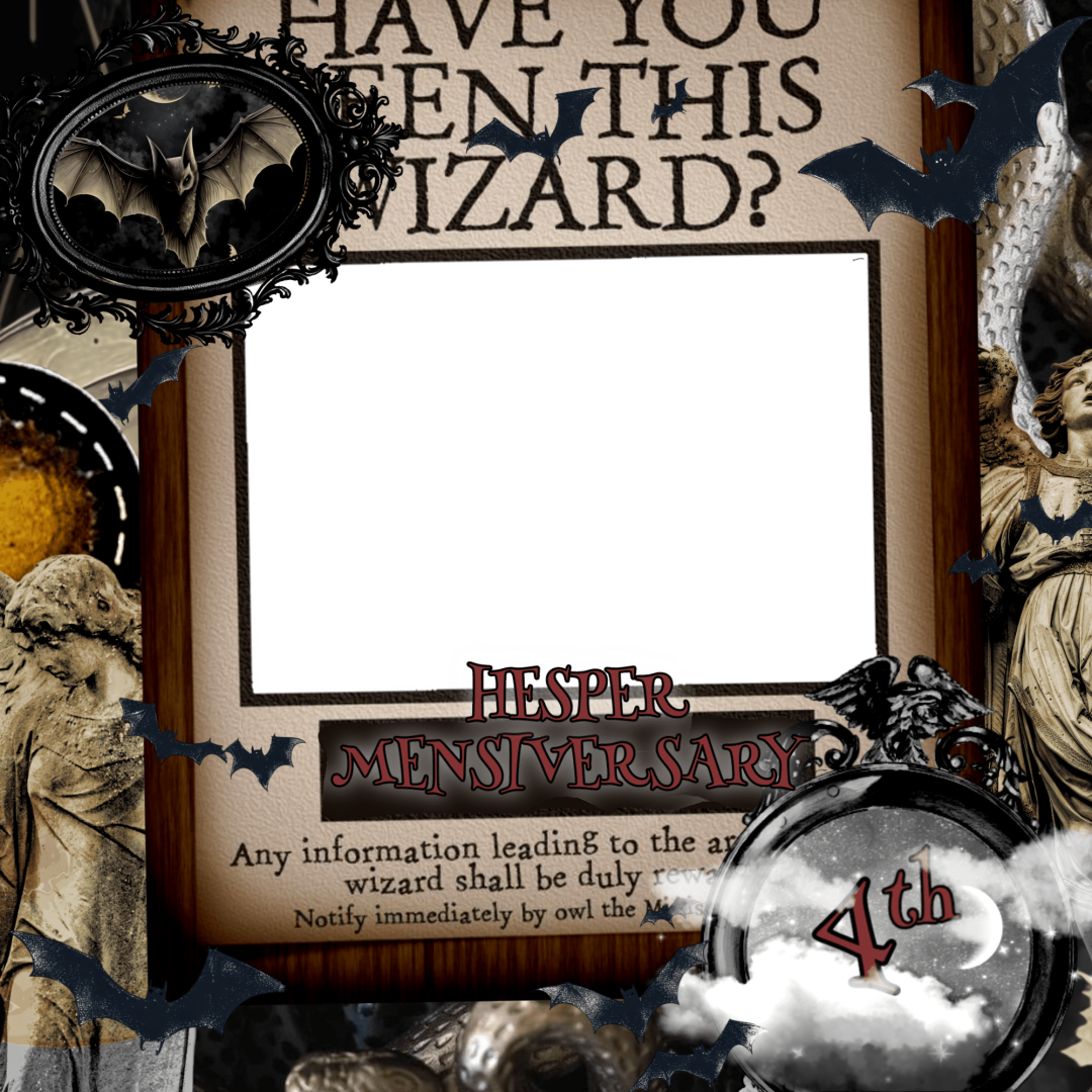 Frame Preview