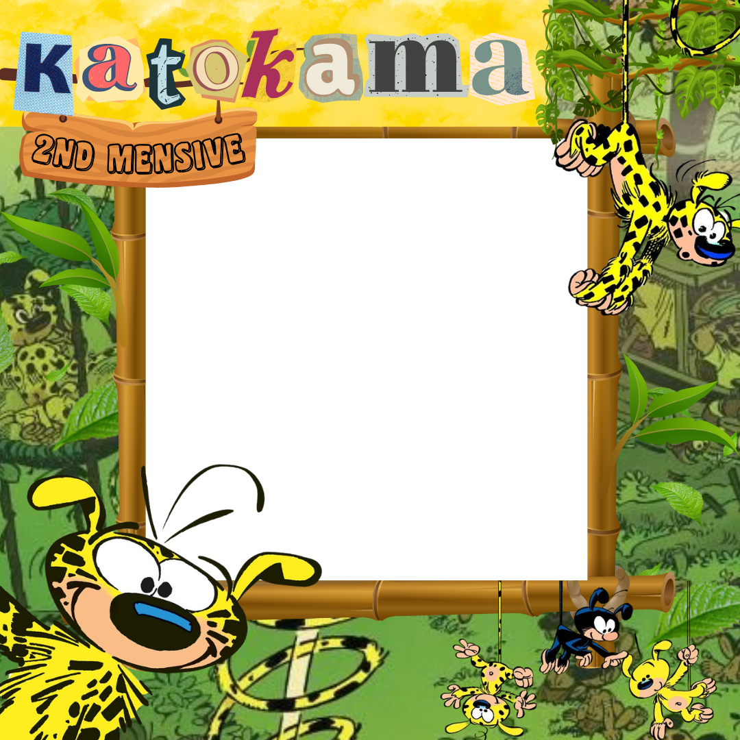 Frame Preview