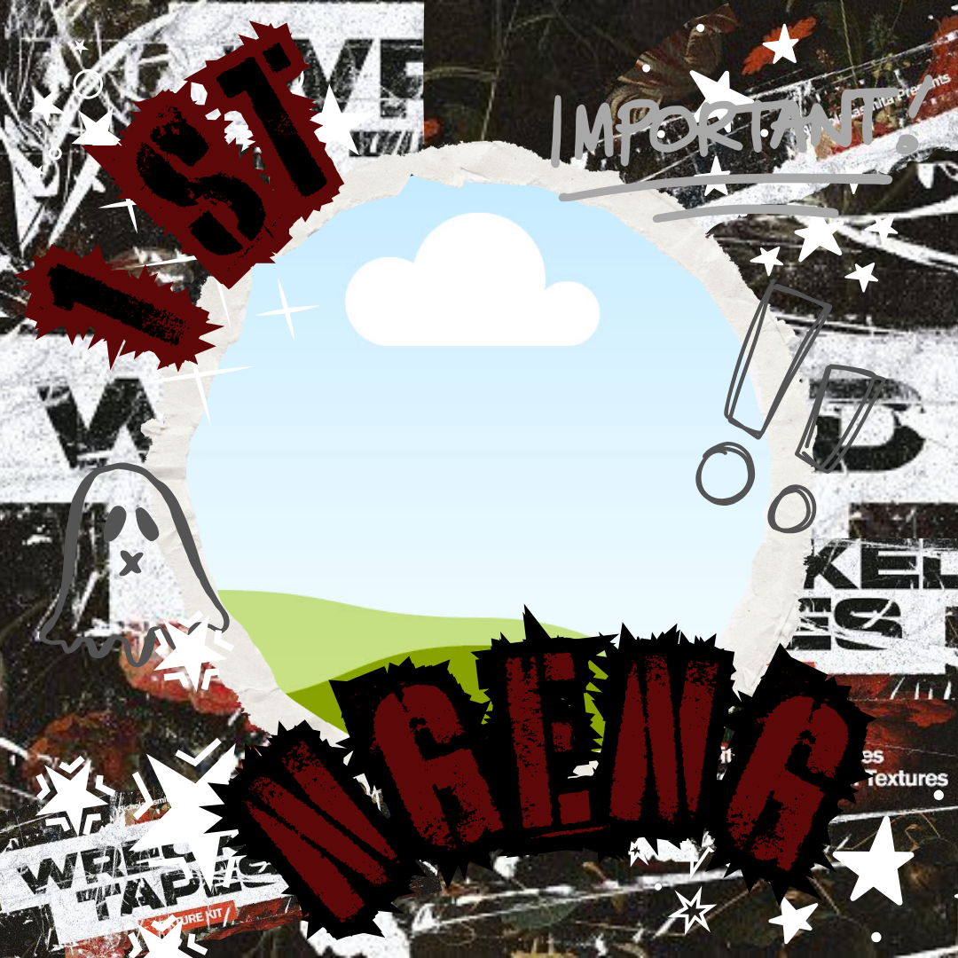 Frame Preview