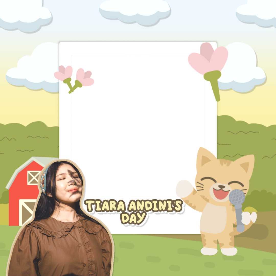 Frame Preview