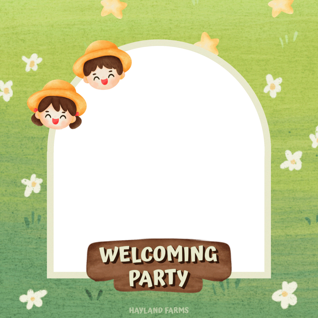 Frame Preview