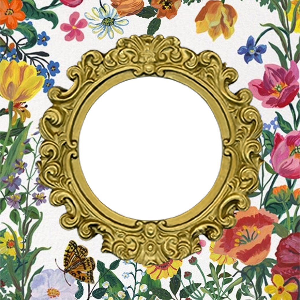 Frame Preview