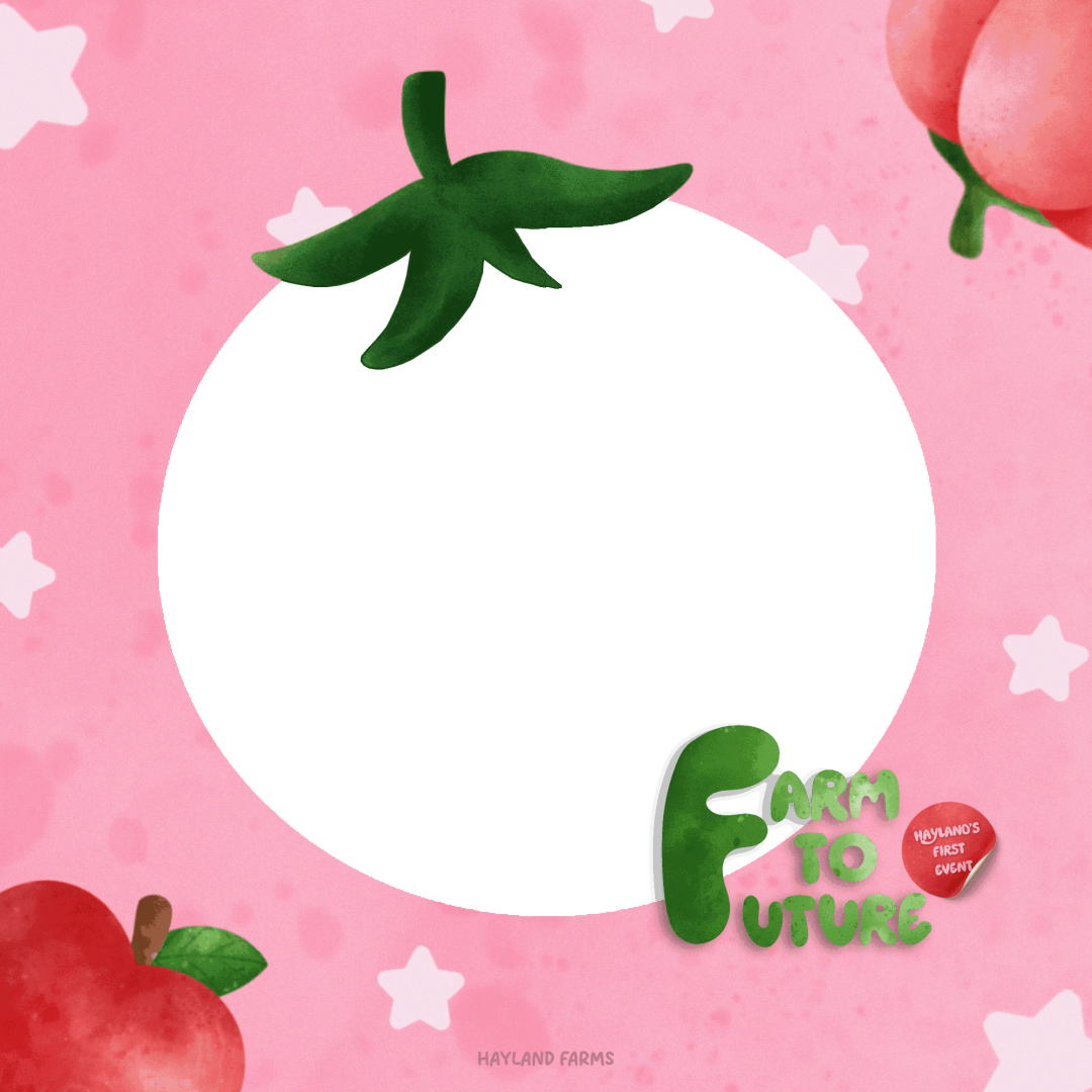 Frame Preview