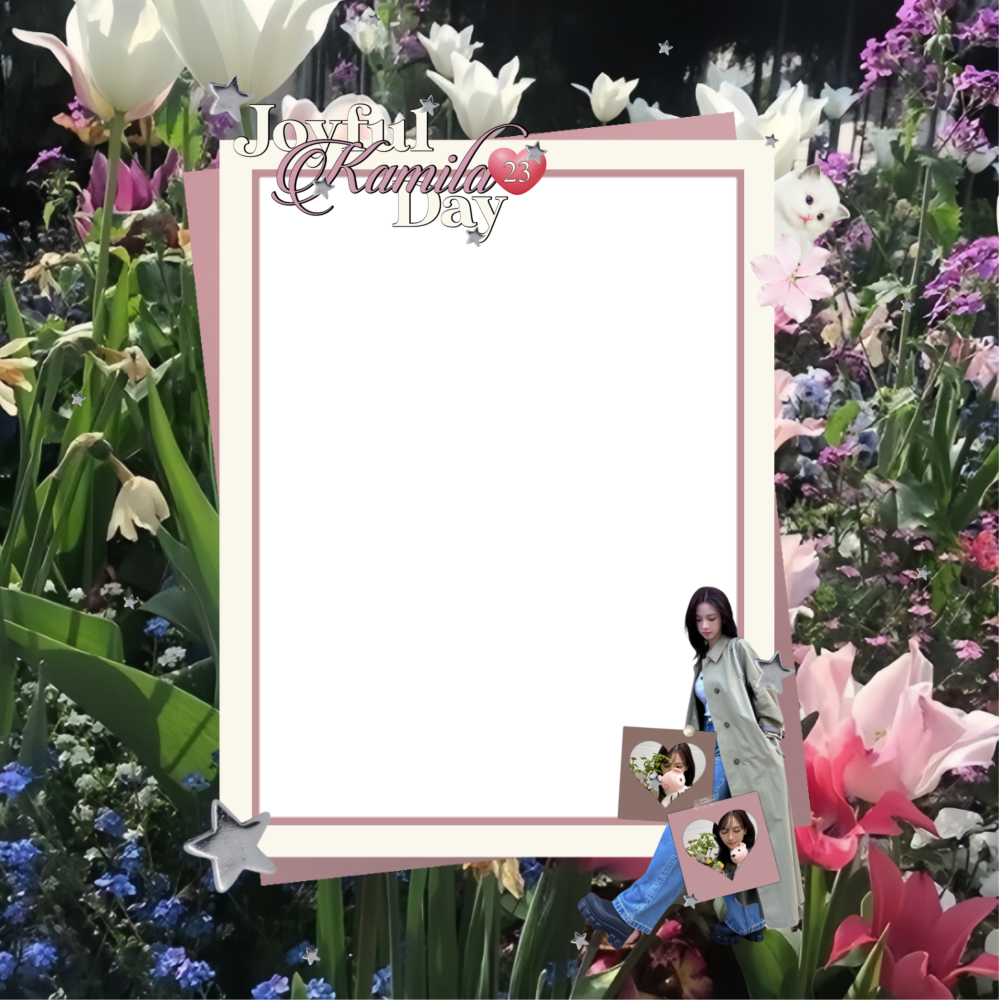 Frame Preview