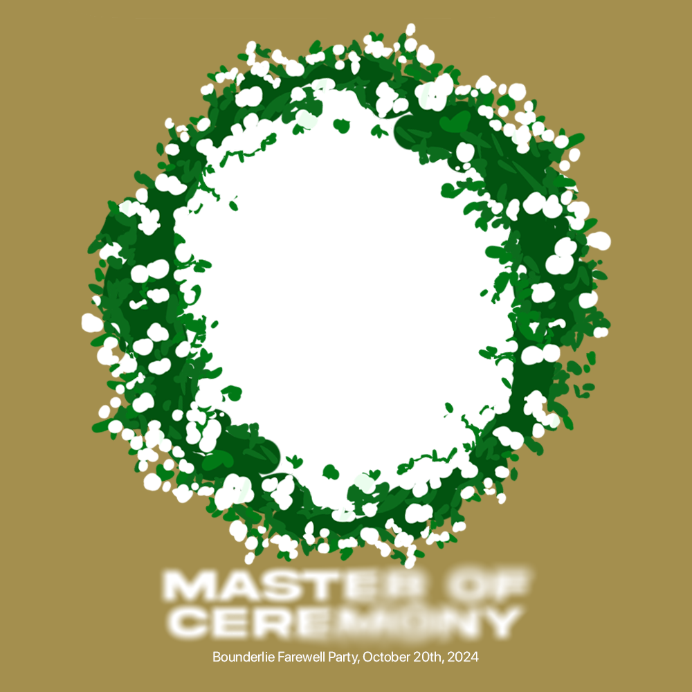 Frame Preview