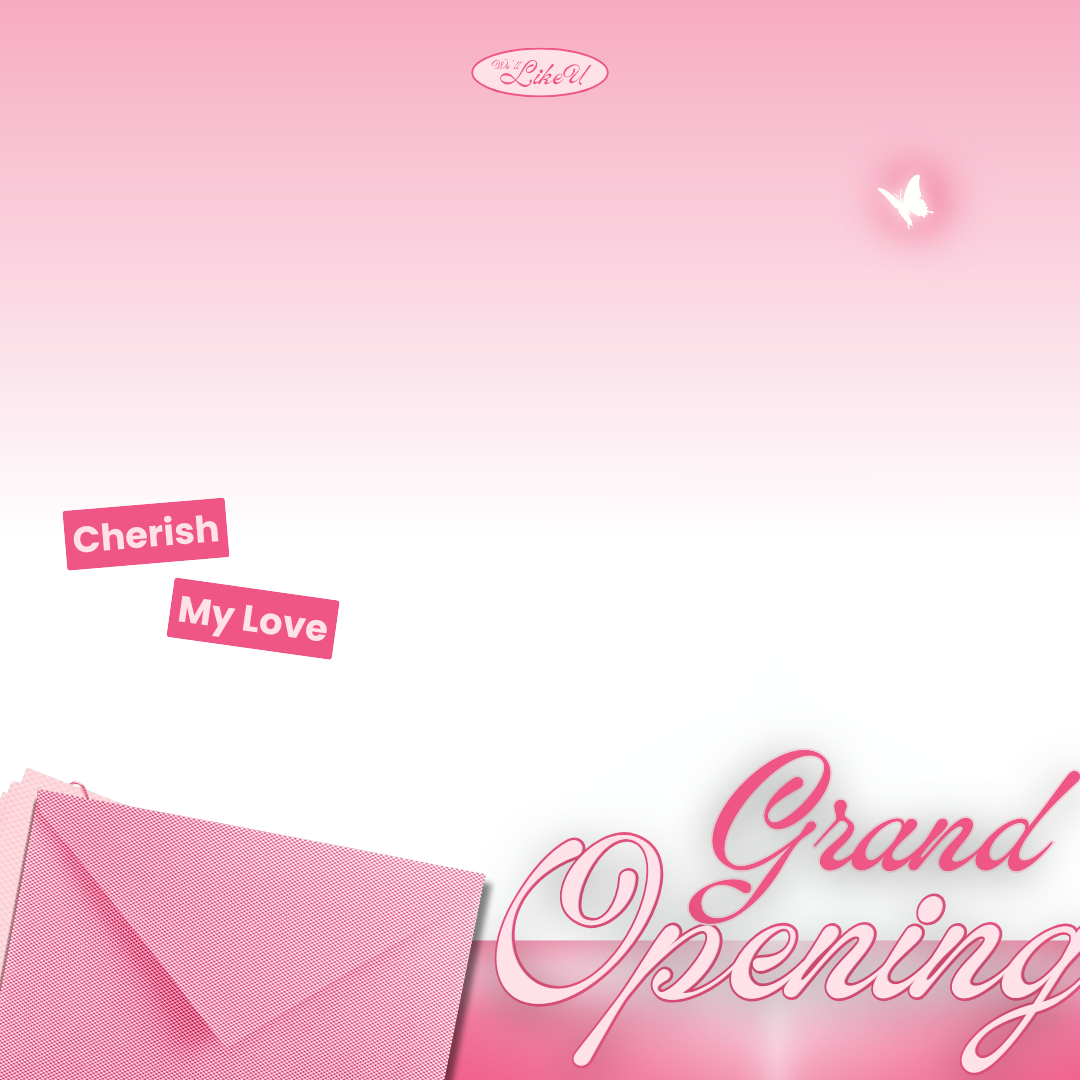 Frame Preview