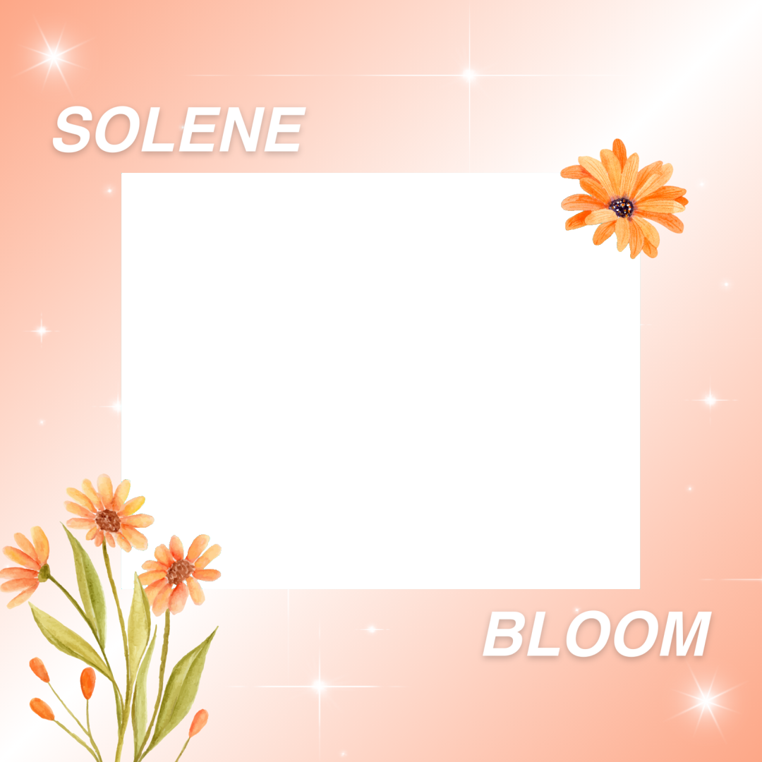 Frame Preview