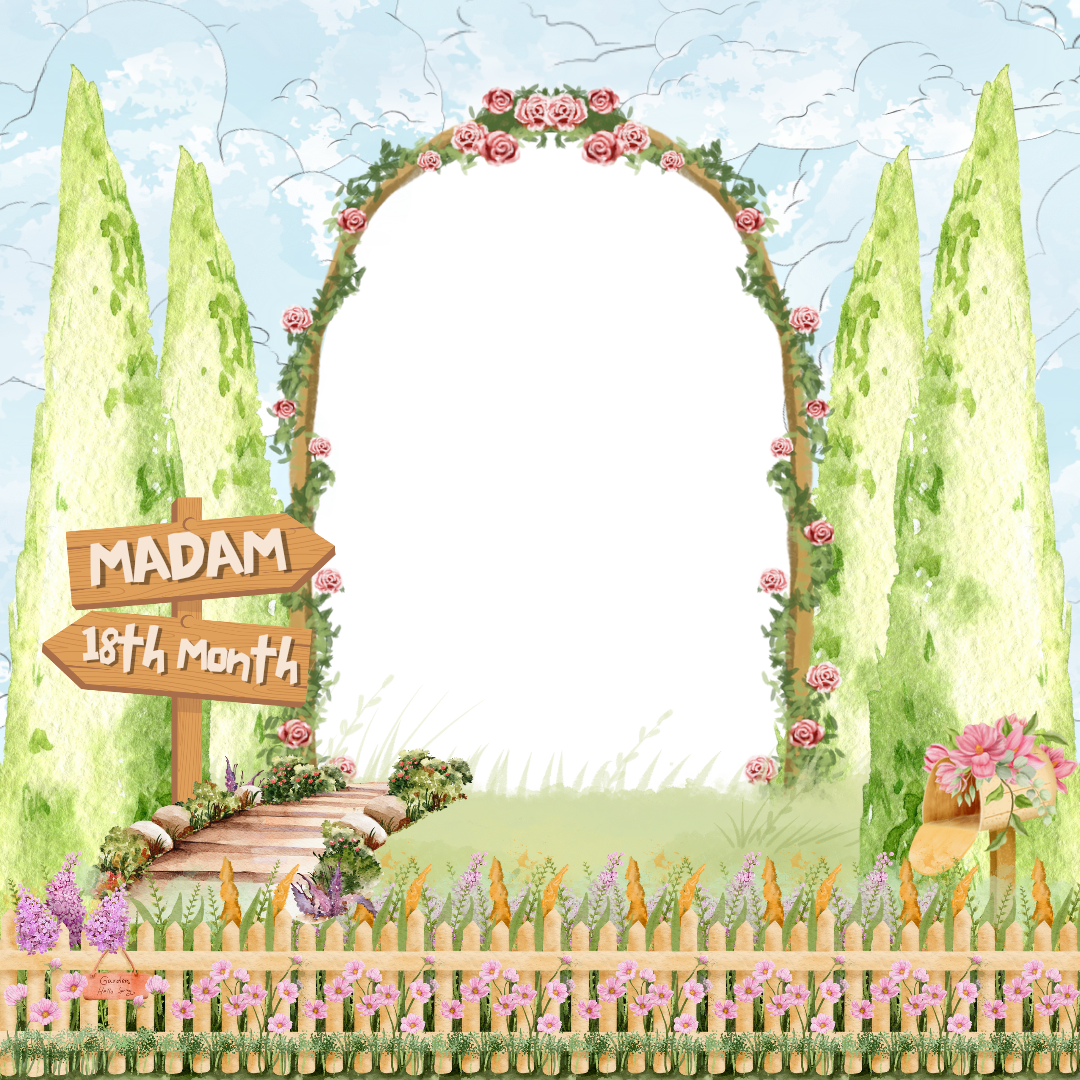 Frame Preview