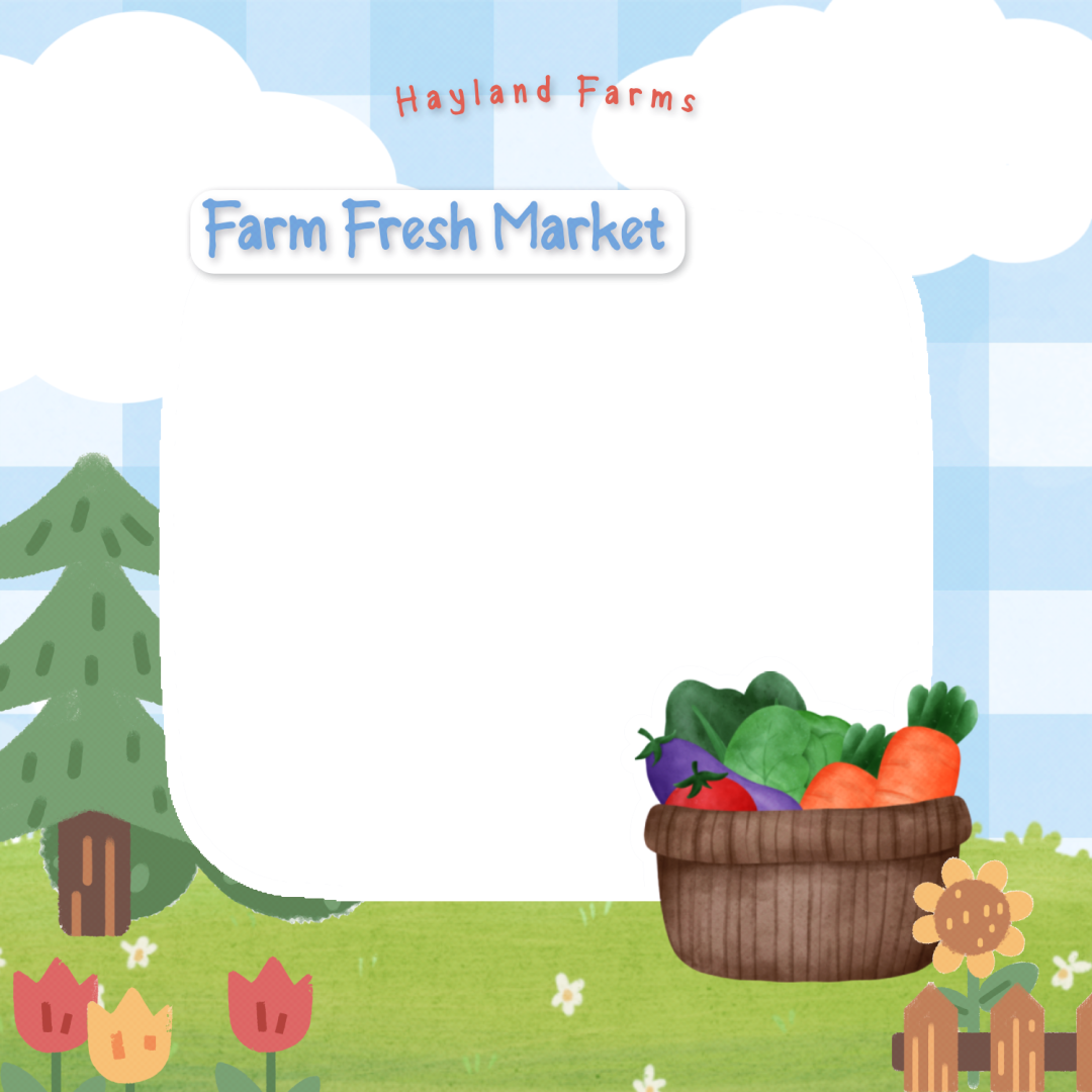 Frame Preview
