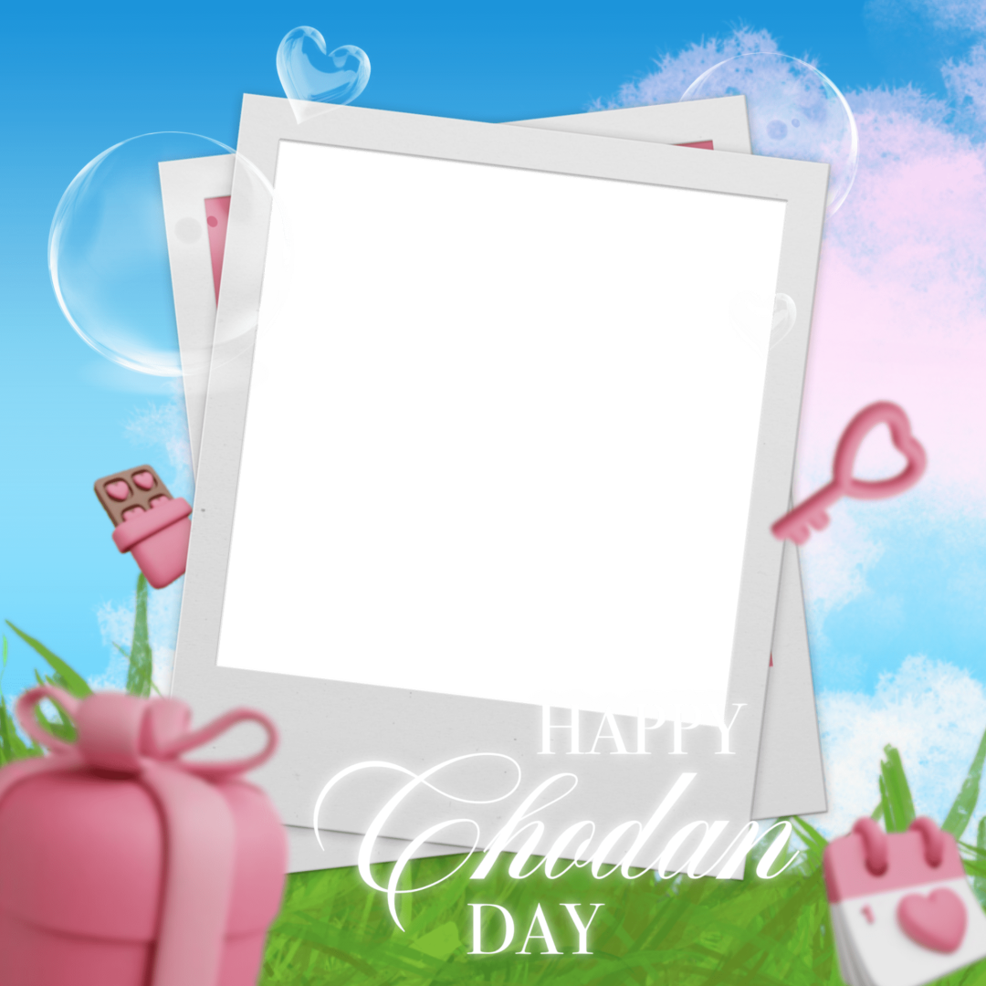 Frame Preview