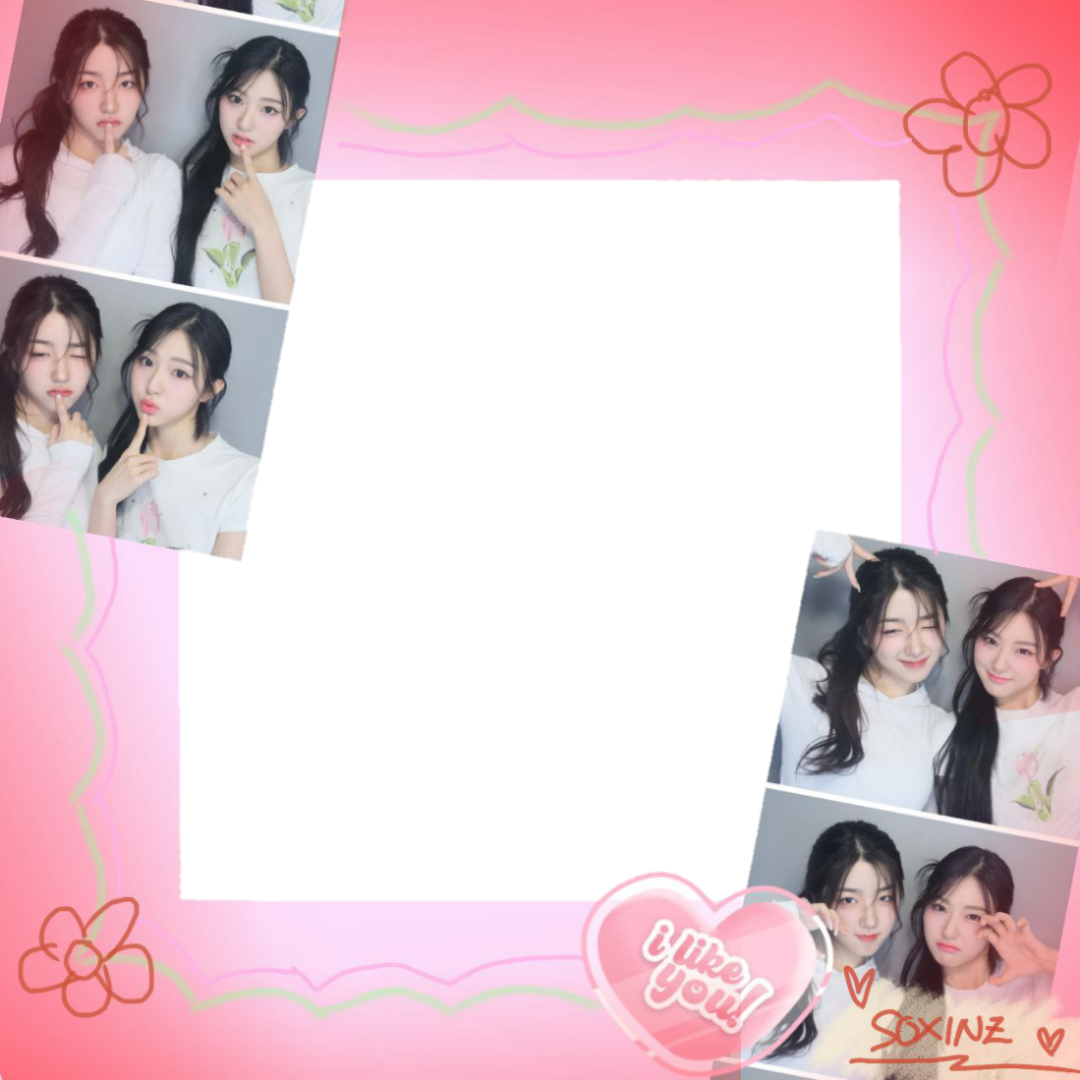 Frame Preview