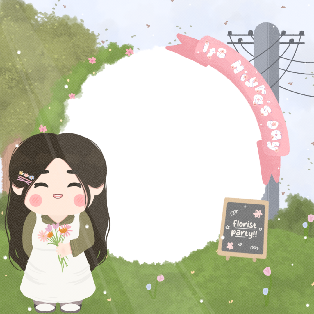 Frame Preview