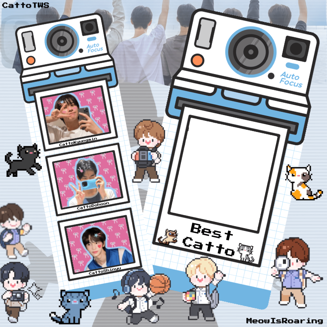 Frame Preview